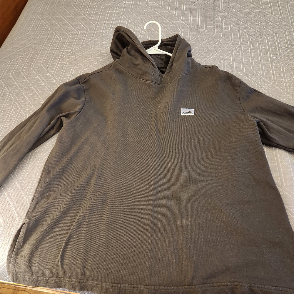Patagonia Blue Regenerative Cotton Hoodie